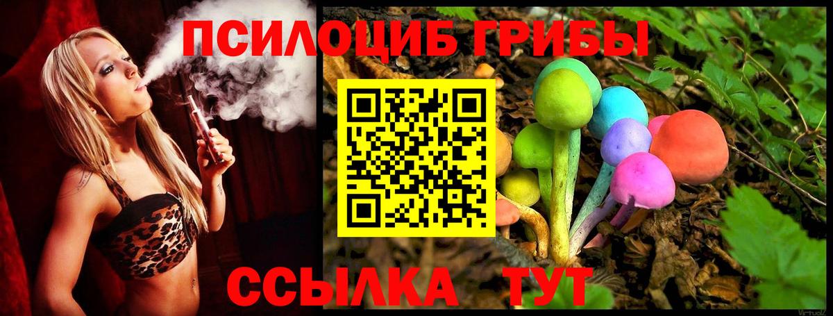 Псилоцибиновые грибы Cubensis  Вход с VPN  Сыктывкар 